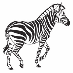zebra black silhouette icon vector
