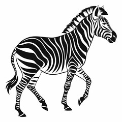 zebra black silhouette icon vector