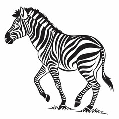 zebra black silhouette icon vector