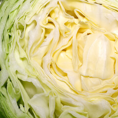 Freshly sliced cabbage reveals intricate layers in vibrant green hues