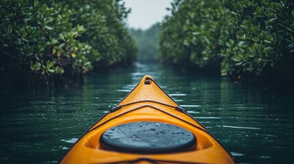 Fototapeta premium Kayaking through mangrove forest waterway on a rainy day