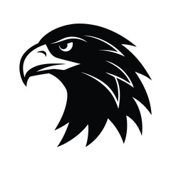eagle head vector illustration