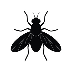 vector illustration of a bug