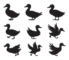 Fototapeta premium Group of wild animal duck silhouette vector