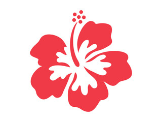 ハイビスカスの花 © GRACE