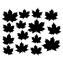 Set of maple leaf silhouettes.