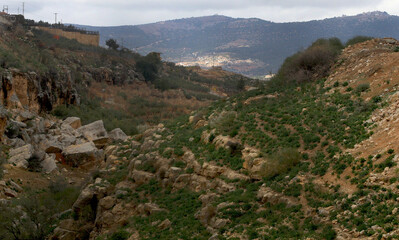 Fototapeta premium The northern mountains at the beginning of spring, and the trees have begun to grow there.