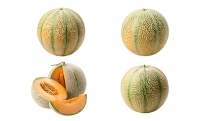 Cantaloupe melon with sliced isolated, Fresh fruits collection, Collection set of Cantaloupe melon isolated