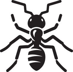 spider on a white background