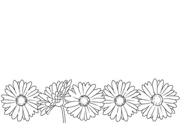 ガーベラの線画イラストフレーム(ラインアップ)