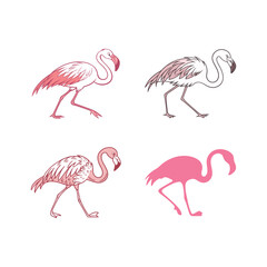 Obraz premium Flamingo colored vector art style illustration on white background