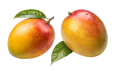 Mango fruits isolated, Fruits collection, Collection set of fresh fruit isolated