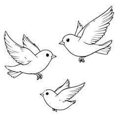 Fototapeta premium The image depicts three flying birds — outlined in black, in a simple linear style. The birds are in various poses.