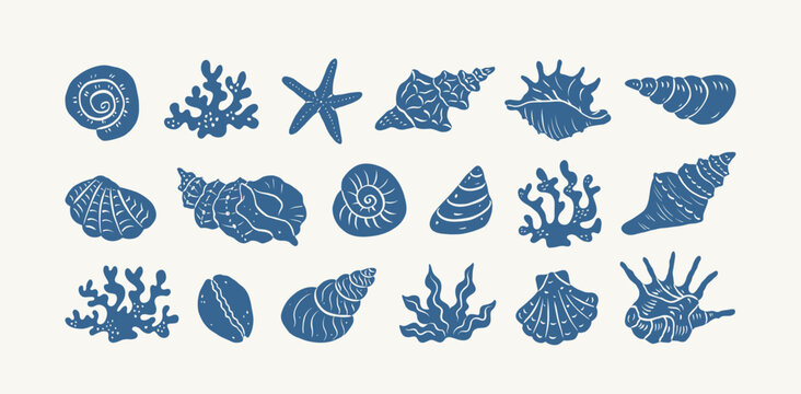 Collection hand drawn seashells and corals. Minimalist marine silhouettes. Collage aesthetics. Summer coastal design elements for trendy prints, invitation, menu cover. Tropical beach shells.