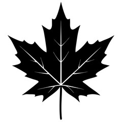 Maple Leaf Vector Silhouette on White Background - Elegant Vector Illustration