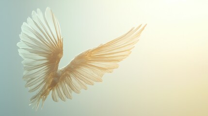 Soft Diffusion: Wings captured with soft, diffused lighting on a minimalist background. Stock photo --ar 16:9 --quality 2 --style raw --v 6.1 Job ID: a470fc5b-7fae-41b3-ac5f-30876426f67a