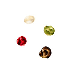 Pepper mix. Black, red, white and allspice. Watercolor hand drawn aromatic seeds, spice illustration isolated on transparent background. For designers, menu, decoration, food blog, ecofriendly