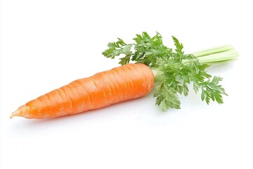 Fresh orange carrot with green leafy top on a white background.