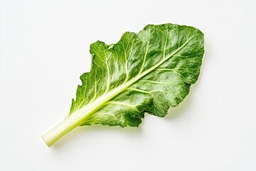 Fresh green leaf of chard on a white background.