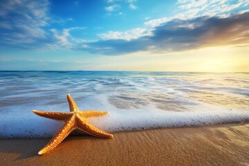 Fototapeta na wymiar Starfish on a sandy beach at sunset with calm waves in the background