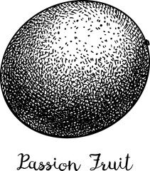 Passionfruit ink sketch