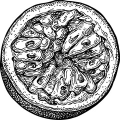 Passionfruit ink sketch