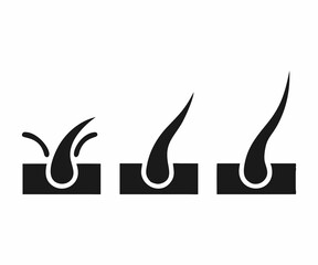 Hair Growth Stages with Treatments and Results