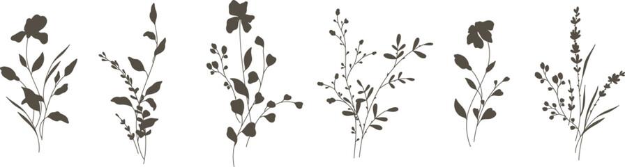 Flower bouquet Set. Silhouette in black. Compositions delicate wildflowers, meadow herbs, branches and leaves, garden plants. Vector illustration