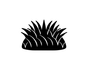 creative details Grass Patch Icon vector illustration