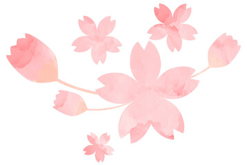 Watercolor pink cherry blossom