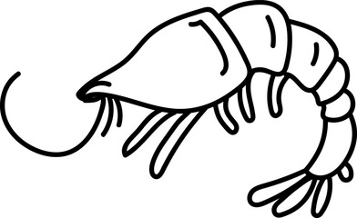 Hand Drawn Line Shrimp