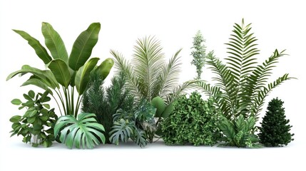Obraz premium Vibrant Tropical Plants Collection