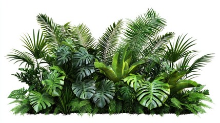Vibrant Tropical Plants Collection