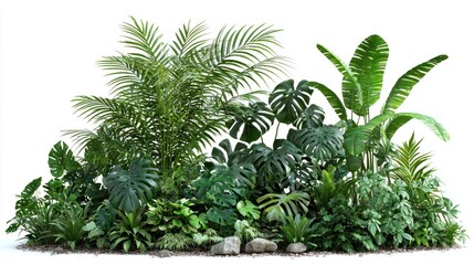 Vibrant Tropical Plants Collection