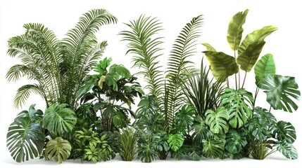 Obraz premium Vibrant Tropical Plants Collection