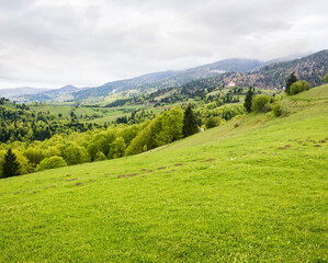 Obraz premium countryside mountain landscape in spring. green environment. cloudy weather. field and forest on the hill. rolling rural scenery. scenic view