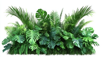 Vibrant Tropical Plants Collection