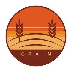 a vast grain field at sunset