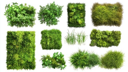 Lush Green Moss Collection