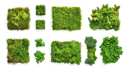 Lush Green Moss with Dense Texture Collection