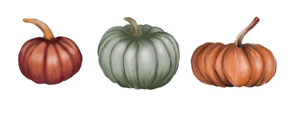 This digital illustration showcases three pumpkins in different colors: deep red, muted green, and warm orange. Each pumpkin has unique shapes and textures, making it a perfect autumn, harvest, 