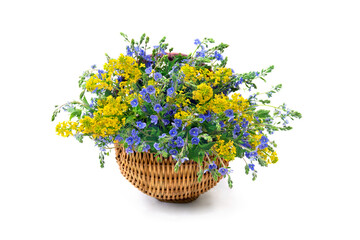 Bouquet of blue flowers speedwell ( Veronica chamaedrys, forget-me-nots ) with yellow flowers...