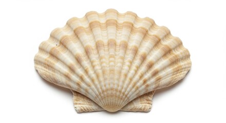 Obraz premium Futuristic computer processor with intricate circuitry and mesmerizing blue glow in hyper-realistic 3d rendering