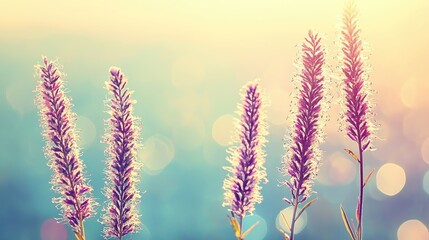 Obraz premium Pastel wildflowers in sunlight; peaceful summer meadow; background bokeh; nature wallpaper