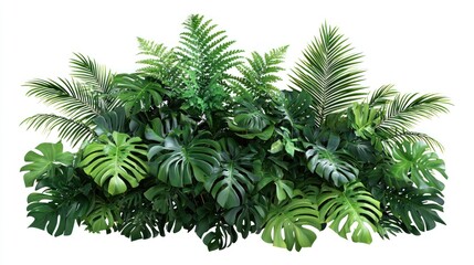 Vibrant Tropical Plants Bush Collection