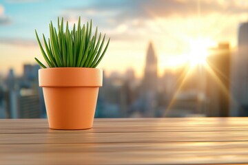 Small Potted Plant on Wooden Surface Bathed in Golden Sunset Sunlight with Expansive Cityscape in the Background