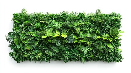 Fototapeta premium Vibrant Green Tropical Plant Wall Panel