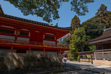 日本、京都、清水八幡宮、神社、銅燈籠、獻燈、青空、建築、木