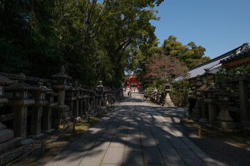 日本、京都、清水八幡宮、神社、銅燈籠、獻燈、青空、建築、木