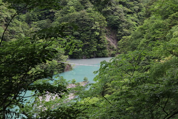 夢のつり橋